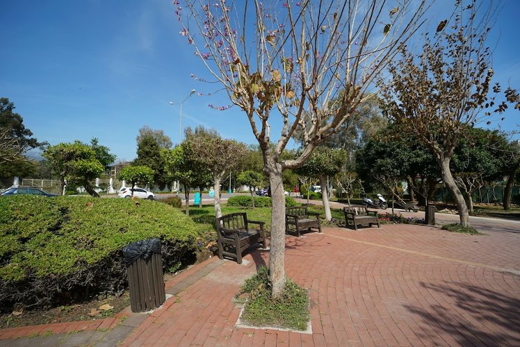 Slide image