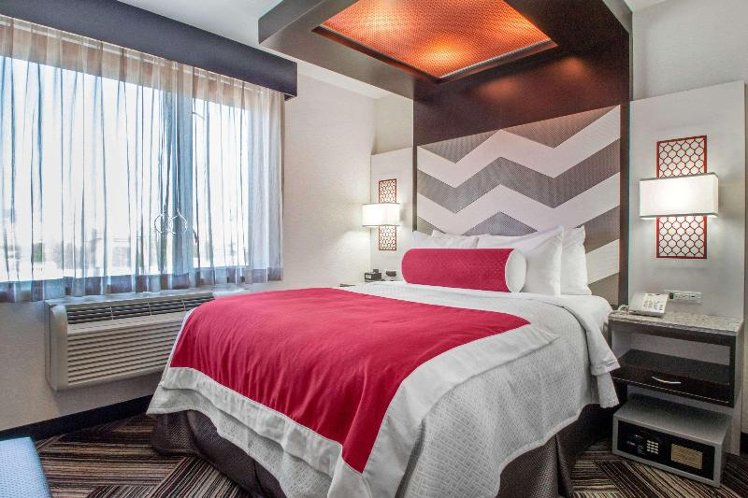 DOUBLE QUEEN SIZE BED Room