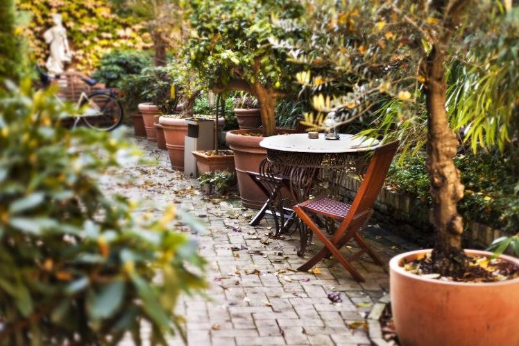 Terrace