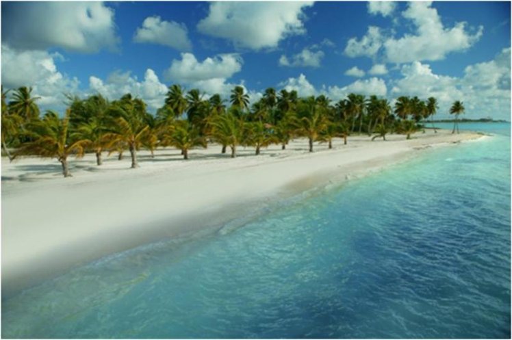Holiday image