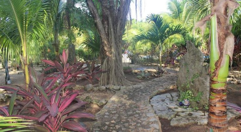General view