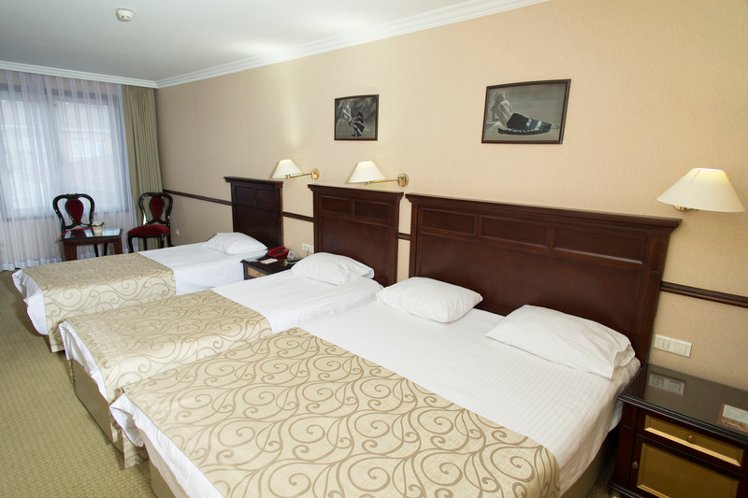 TRIPLE STANDARD Room