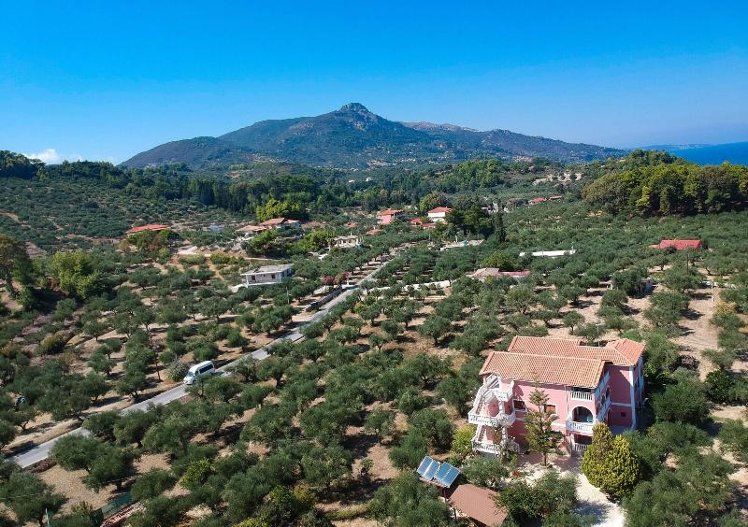 General view