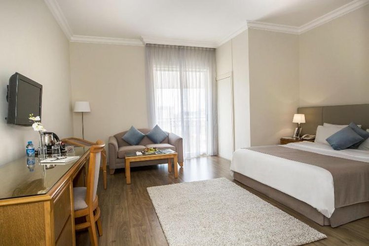 SUITE SUPERIOR KING BED Room