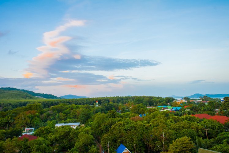 General view