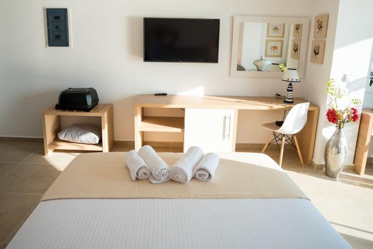 JUNIOR SUITE SEA VIEW Room