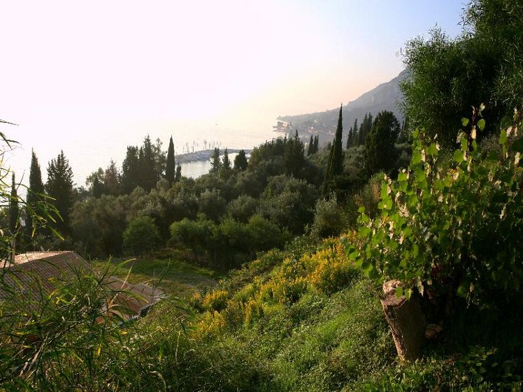 General view
