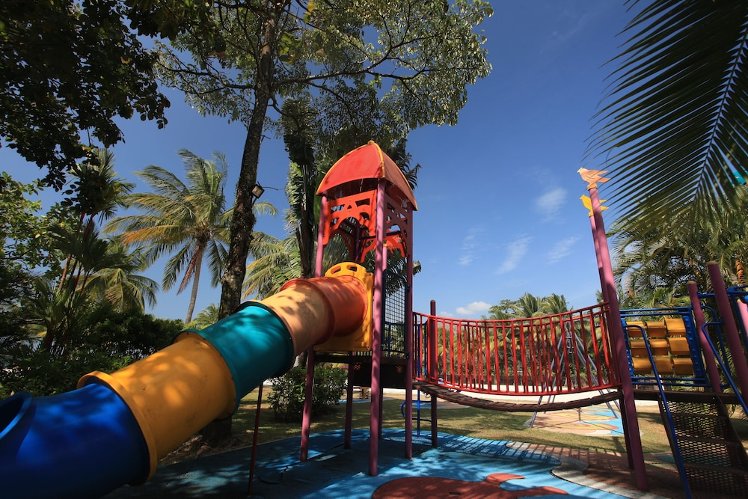 Slide image