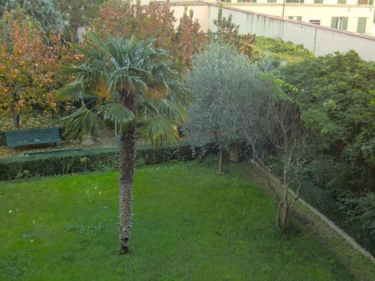 General view