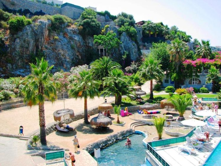 Holiday image