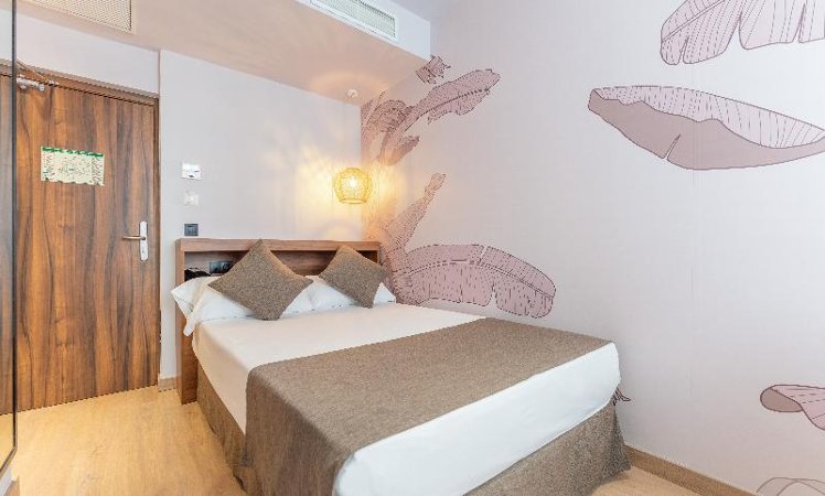 SINGLE STANDARD Room