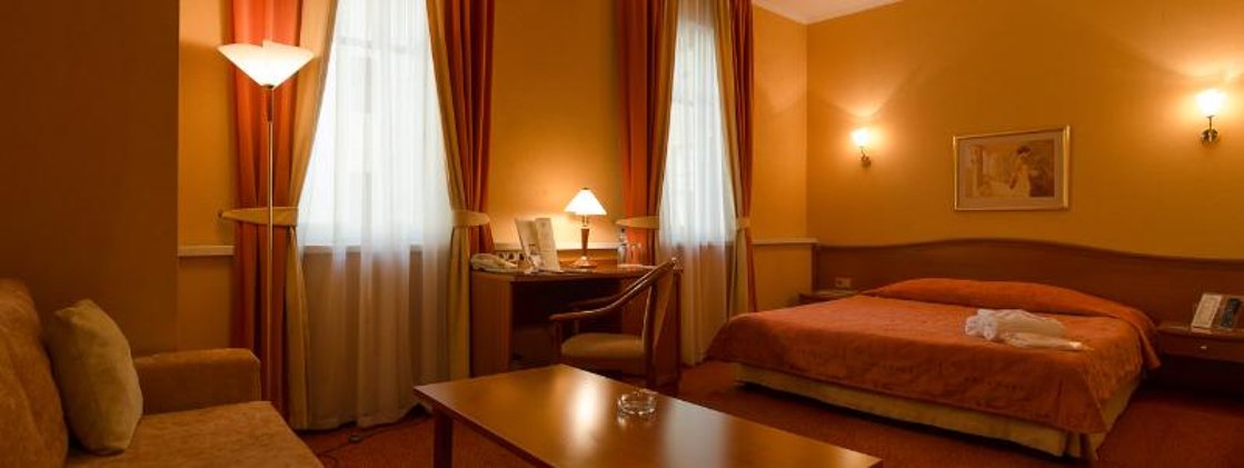 DOUBLE SINGLE USE STANDARD Room
