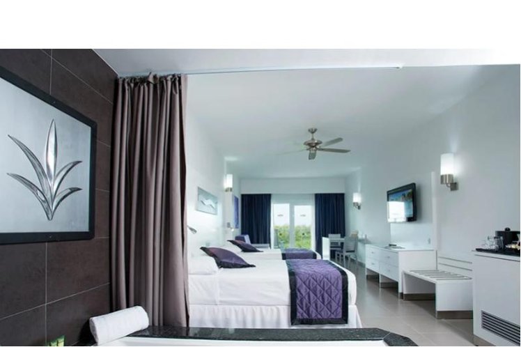JUNIOR SUITE PARTIAL OCEAN VIEW Room