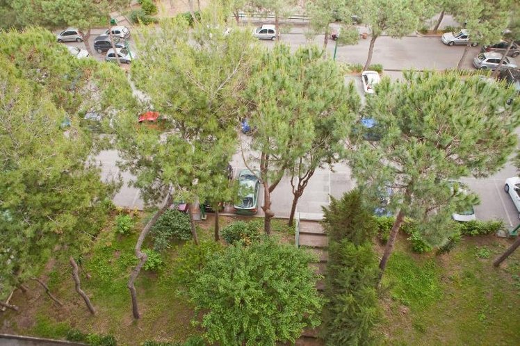 General view