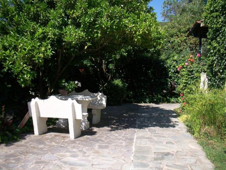 Holiday image