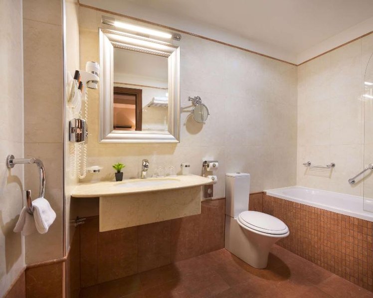 TRIPLE EXECUTIVE Room
