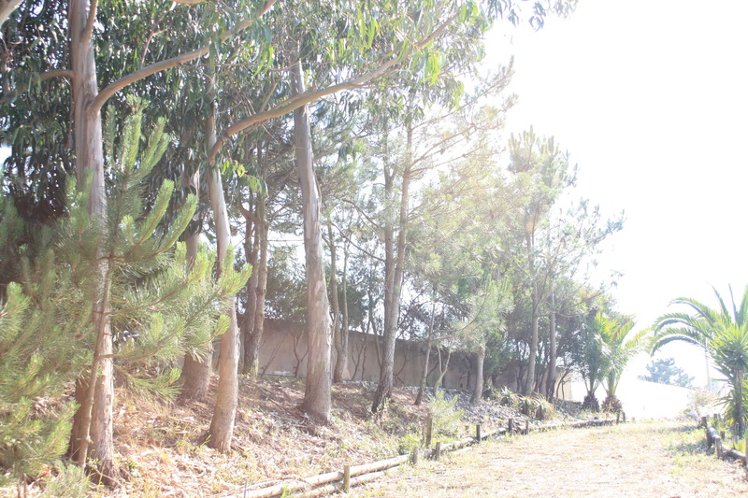 General view