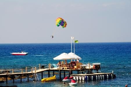 Holiday image