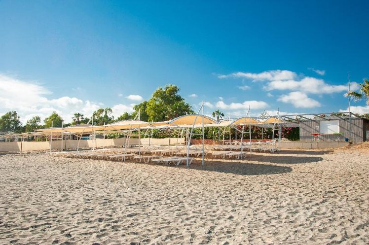 grand bahama beach hotel отзывы