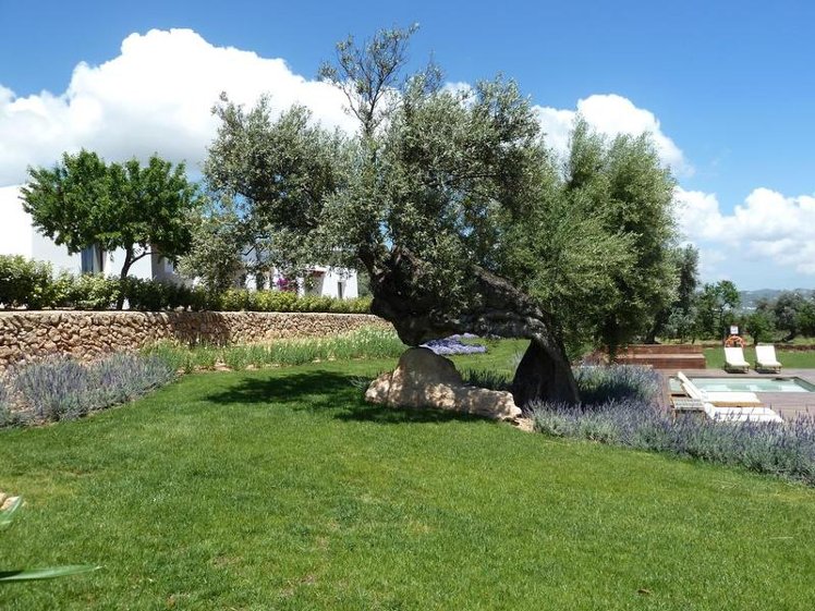 General view