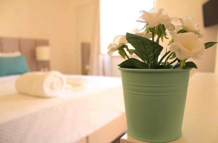 Double or Twin STANDARD Room