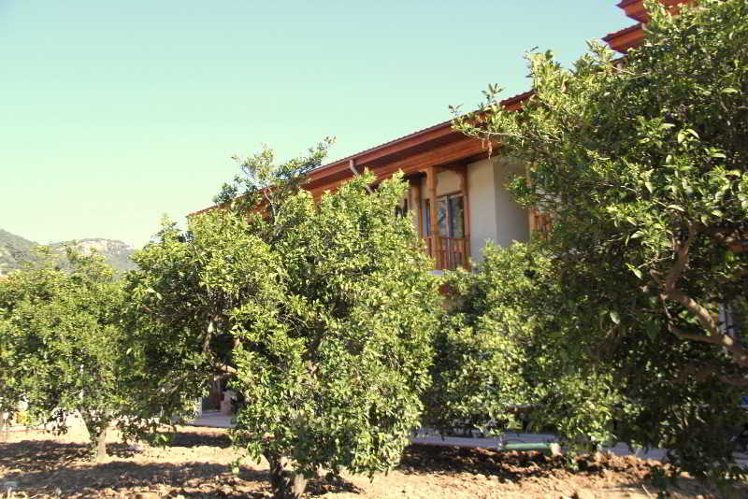 General view