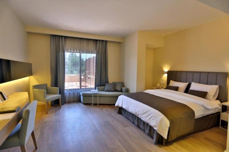 SUITE EXECUTIVE KING BED Room