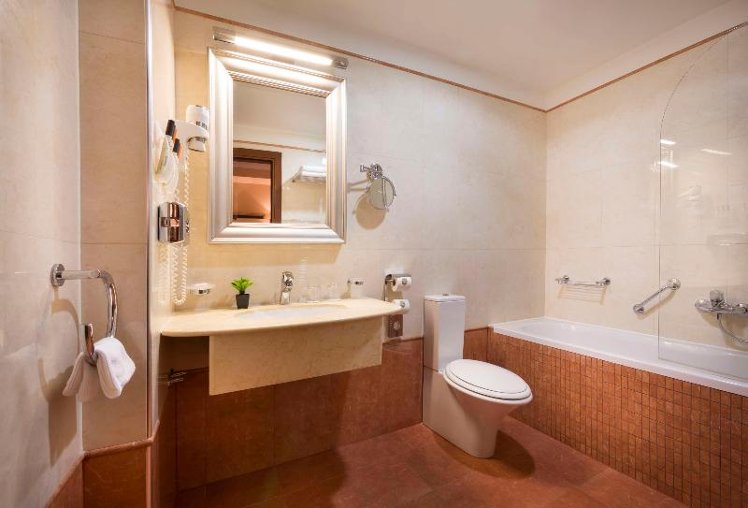 TRIPLE EXECUTIVE Room