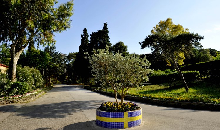Slide image
