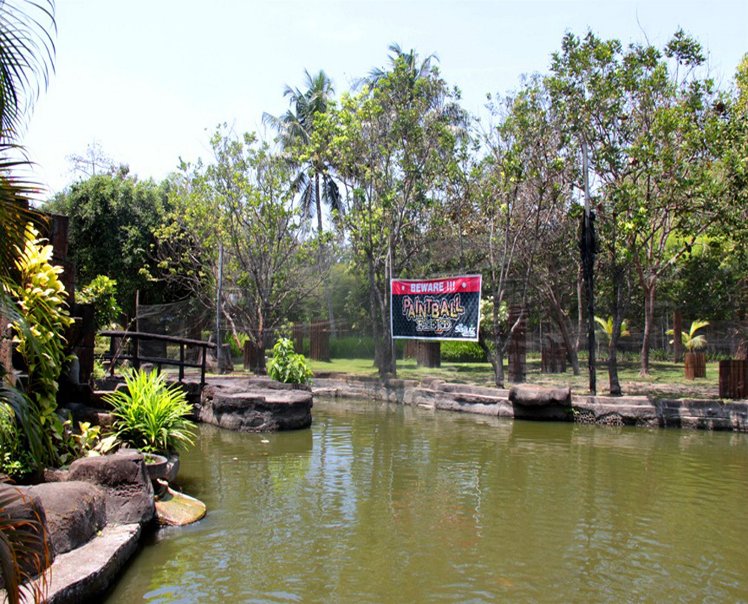 Slide image