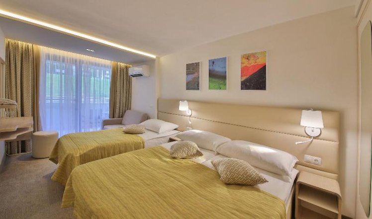 Double or Twin DELUXE Room