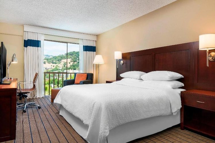 DOUBLE DELUXE KING BED Room
