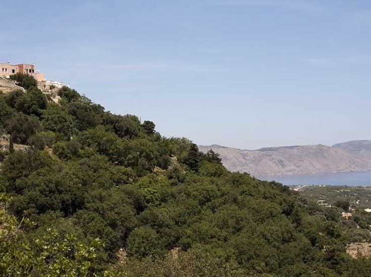 General view