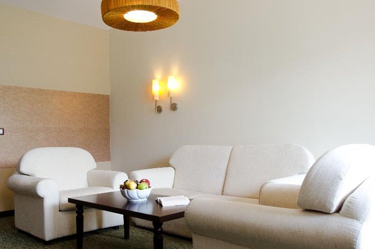 JUNIOR SUITE STANDARD Room