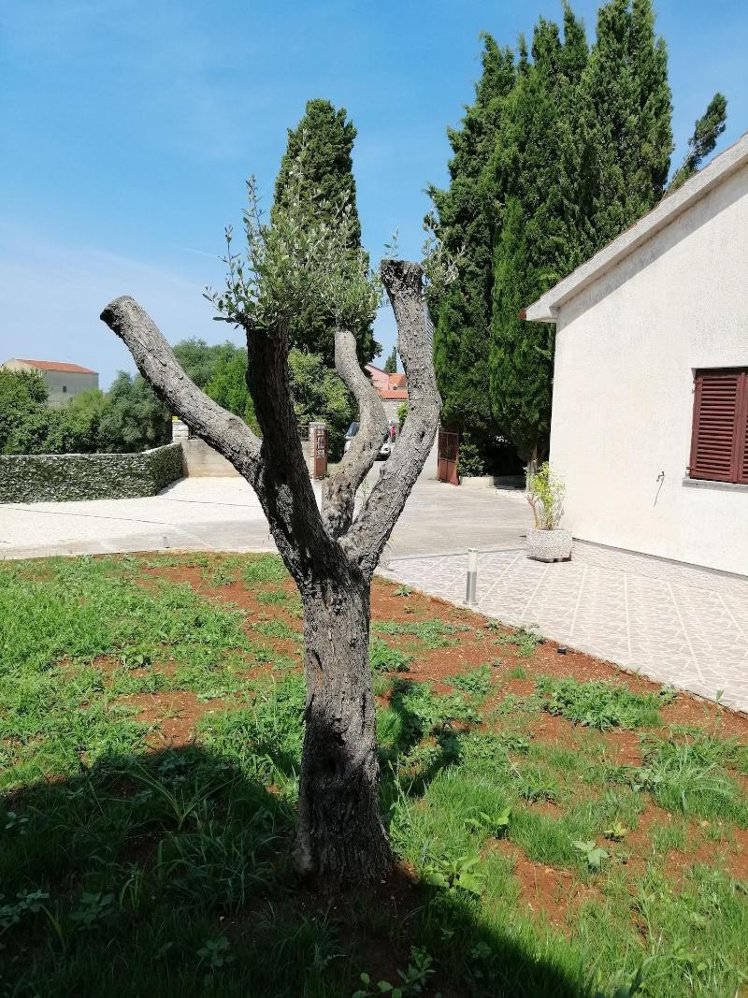 General view