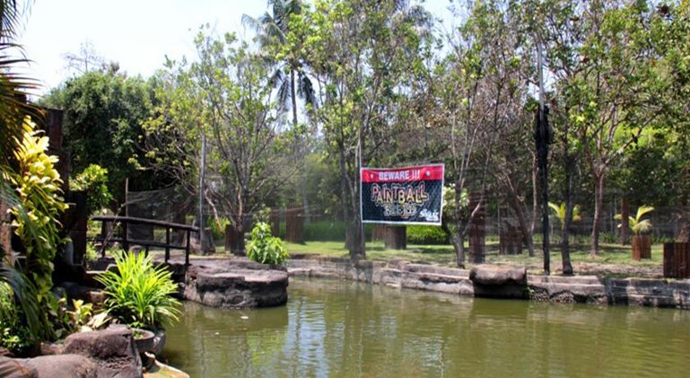 Slide image