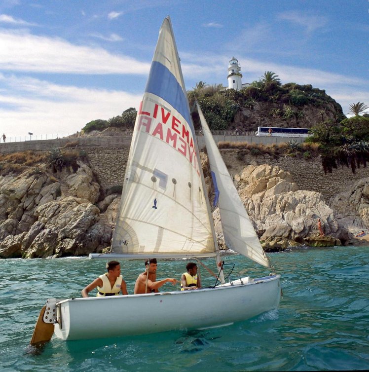 Slide image