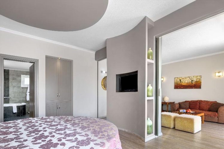 SUITE WITH PRIVATE POOL Room
