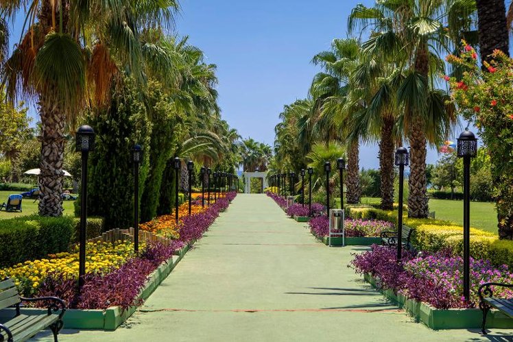General view